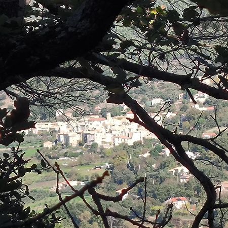 A L'Oree Des Oliviers Venterol  Exterior foto